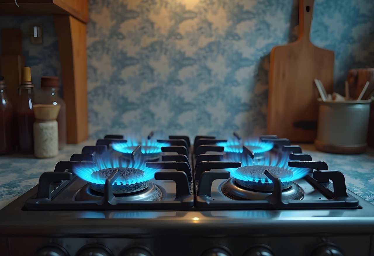 découvrez notre plaque de cuisson à induction performante et sécurisée, idéale pour une cuisine rapide et économe en énergie.