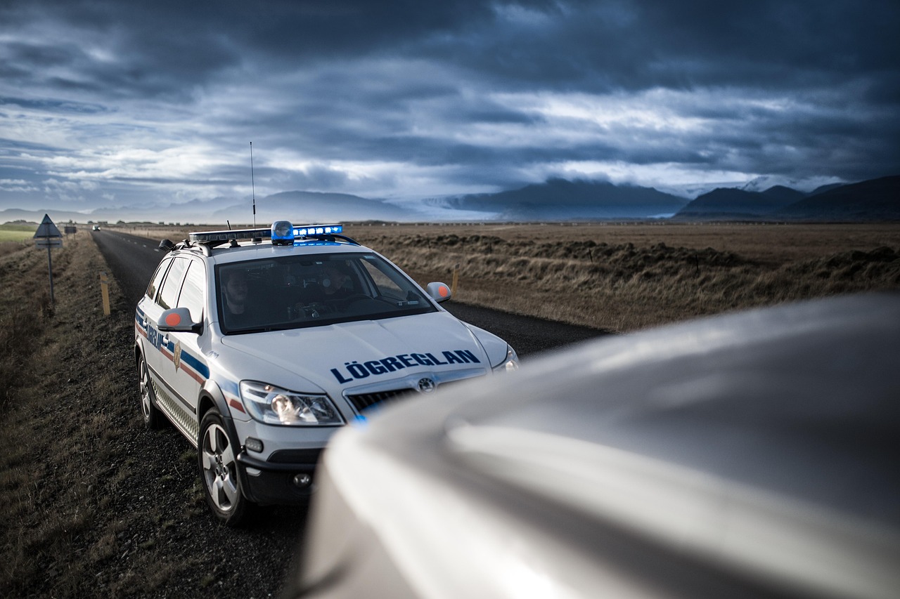 découvrez l'importance des marquages de la voie d'urgence sur l'autoroute pour garantir la sécurité et faciliter les interventions en cas d'incident.