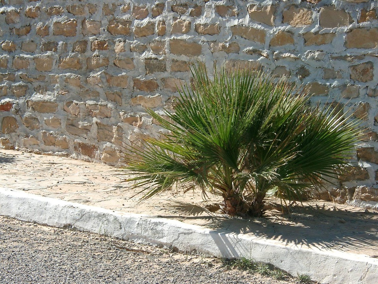 découvrez la maçonnerie en pierre sèche, une technique traditionnelle sans mortier, durable et esthétique, idéale pour les murs et aménagements paysagers.